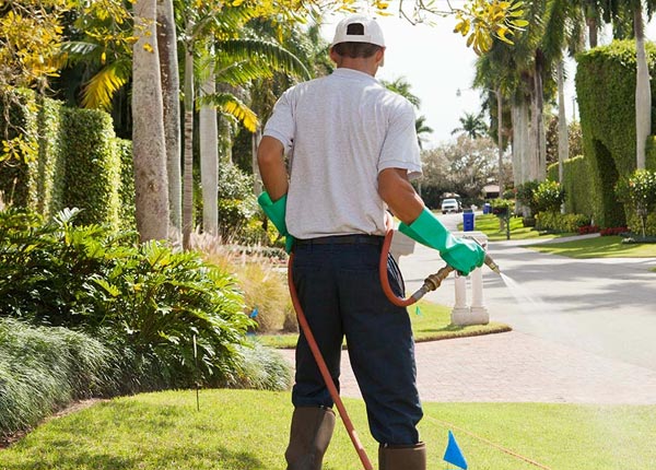 About Dorchester IA Pest Control